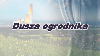 Gruby - Dusza ogrodnika