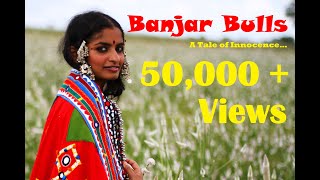 Banjar Bulls - Lambani  Short Film | Folk Tale | 4K UHD