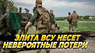 Элита ВСУ несет колоссальные потери в курской области - Новости