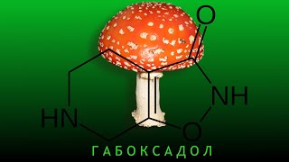 Габоксадол. Синтетический гриб мухомор?