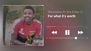 Bris - For what it’s worth