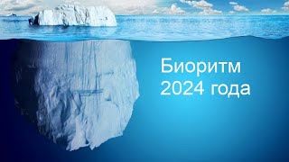 Биоритм 2024 года. Прогноз на 2024 год