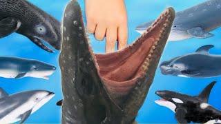 🦈 APRENDA DE ANIMAIS DO OCEANO Grande de Tubarão Branco | Mosasaurus de Baleia Cinzenta Beluga Orca🐋