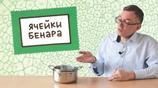 Ячейки Бенара ● 1