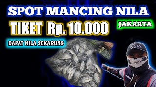 Spot Mancing Nila di Jakarta Empang Romli Sungai Tirem Marunda