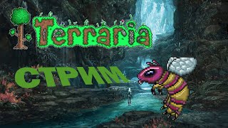 ДЖУНГЛИ ► Terraria ► СТРИМ