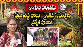 నాగుల పంచమి పుట్ట వద్ద పాలు ..నైవేద్య సమర్పణ| Nagula Panchami 2024@sumantvdharmapuri