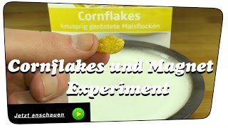 Cornflakes und Magnet (magnetische Cornflakes) - Experiment | Wissenschaft