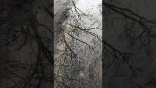 SLO mo rain