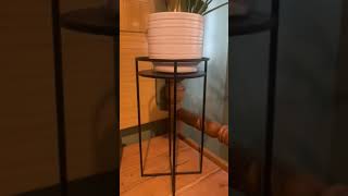 Review of mDesign Mid-Century Plant Stand