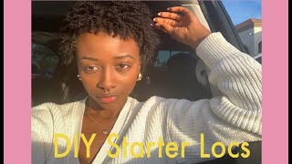 I  Spent 24 Hours Twisting My Hair { Microlocs}