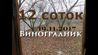 12 соток _Виноградник (1 часть)