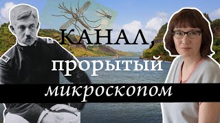 Как, несмотря на невозможность, Панамский канал все-таки был построен