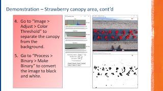 ImageJ in Horticultural Research and Extension | 2020 ASHS Presentation