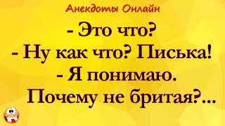 Почему П#ська не Бритая? Анекдоты Онлайн! Короткие Приколы! Смех! Юмор! Позитив!