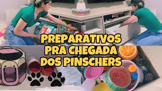 ARRUMANDO O ENXOVAL DOS NOSSOS PINSCHERS FILHOTES