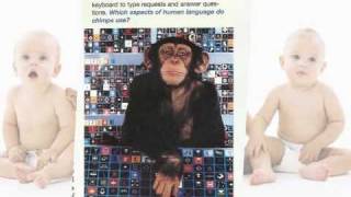 Language Development and Perceptual Development.wmv