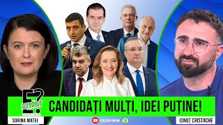 Avem cu cine vota? Cu Ionuț Cristache / invitat: Sorina Matei