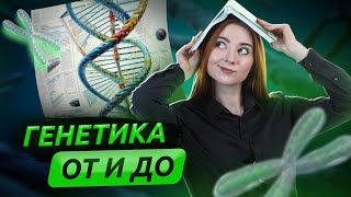 Повторение ВСЕЙ генетики