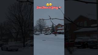 ❄️Spring Snow Storm in Canada🥶Life in Canada🇨🇦Canada weather 😂 #youtubeshorts #shorts #canada