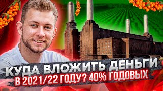 Куда вложить деньги в 2021 году? Инвестиции в реальный бизнес под 40% годовых.