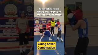 young boxers potential