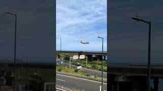 EASYJET | AIRBUS A320 | LANDING | MADEIRA FUNCHAL AIRPORT LPMA-FNC