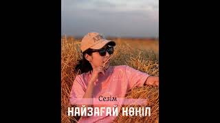 Сезим-Найзагай болып