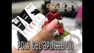 poly gel revision y aplicacion