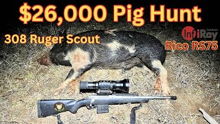 Pig Hunting With The InfiRay Rico RS75 #infirayoutdoor #308 #hunting