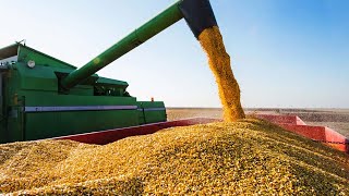 135 Tons of Soybeans are Produced This Way By American Farmers - American Farming