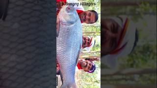 big rohufish in Bengali village style #fish#fishing #fishcooking #fishcutting #shorts