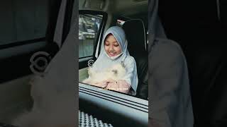 Dulu takut #catlovers #kucinghimalaya #kucingpersia #anabul