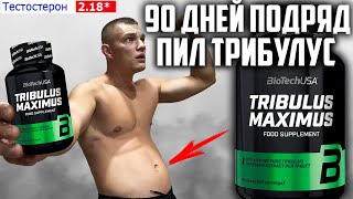 90 ДНЕЙ ПОДРЯД ПИЛ ТРИБУЛУС TRIBULUS MAXIMUS BioTechUSA, ВОТ ЧТО ВЫШЛО!