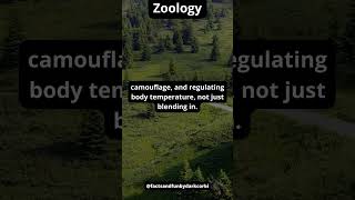 Fact for day - Zoology #shorts #facts #zoology