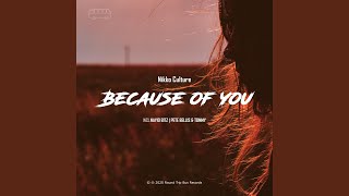 Because of You (feat. Nayio Bitz) (Nayio Bitz Remix)