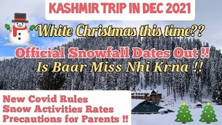 Kashmir Trip in December|Kashmir Travel Guide|Kashmir Snowfall Update