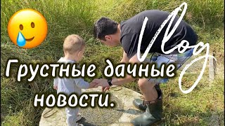 Дачный влог / Грустные новости