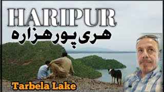 Pakistan's Largest Lake: Tarbela in All Its Glory