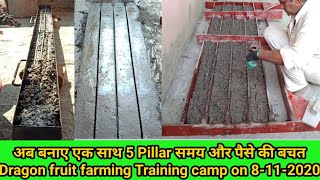 अब बनाएं 5 Pillar एक साथ और करें ,समय और पैसे की बचत | How to make poles for dragon fruit plants