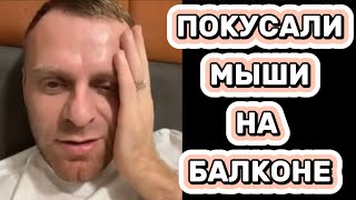 ЧТО СЛУЧИЛОСЬ В ДНЕПРЕ  #самвеладамян