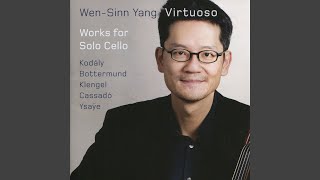 Variations on a Theme of Paganini: VI. Variation V