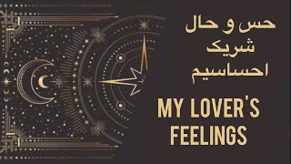 ستایش تاروت - حس و حال و احساسات کلی شریک احساسیم - My lover's feelings