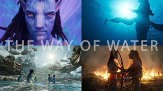 Amazing Shots of AVATAR: THE WAY OF WATER