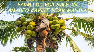 #49 HOLD - FARM LOT for Sale in Amadeo Cavite Philippines