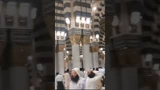 Jumma namaz in Madina ﷺ#MasjidNabawi#islamic status#mohammed #shortsfeed #viral #trending 🕌