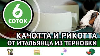 Качотта и рикотта от итальянца из Терновки. 6 соток 02.09.2024