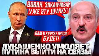 ⚡ГОЛОС ЛУКАШЕНКО ДРОЖАЛ! ПУТИН, СПАСИ КУРСК И БЕЛАРУСЬ! ЗАКАНЧИВАЙ, ИНАЧЕ БЕДА! ТАРАКАН ЗАПЕРЕЖИВАЛ!