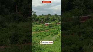 Greenery &  Honking WAP 4👮🌳 #shorts #india #train #viral #nature @indiaexpressofficial