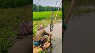 Fisherman Fishing with nets #youtubeshorts #catchingfish #fishing #fisherman #fish